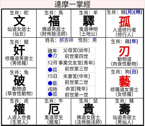 一掌經|達摩一掌經排盤程式